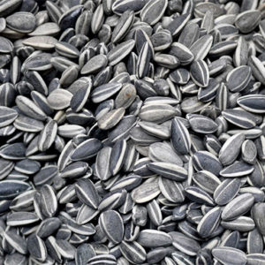 Ração Pássaros Girassol 250g