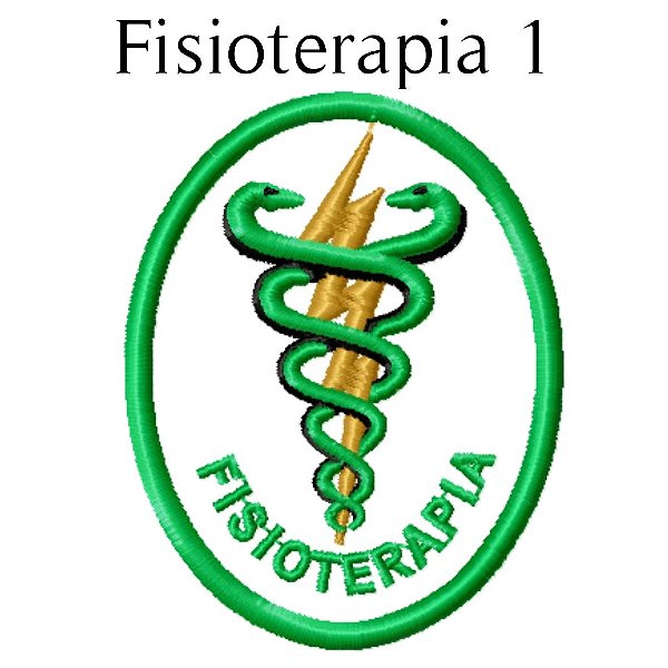 Bordado Fisioterapia