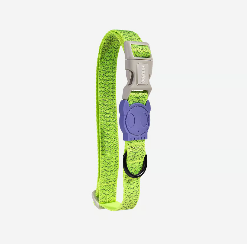 Coleira Zee Dog Nox Lumen G P/ Cao