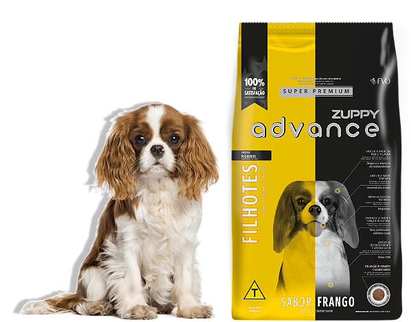 Advance Dog Filh Peq Porte 01kg Fd