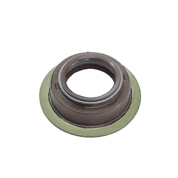 RETENTOR 25,00x38,00x10,50/14,50 BRGEF FKM [02797]