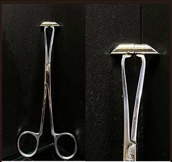 PT016 PINÇA SEPTO CANO CURTO CHANFRADA