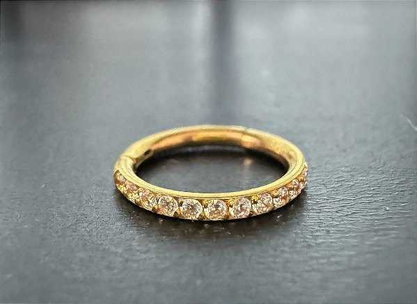 P0641 SEGMENTO PVD DOURADO 1.0 ABA NASAL 8MM ZIRCONIA AÇO