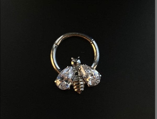 P0537 SEGMENTO AÇO ABELHA  C ZIRCONIA