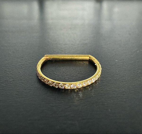 P0431 SEGMENTO TITANIO GOLD D - RING CRAVEJADO  12MM