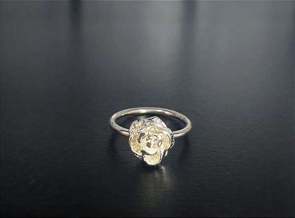 P0206  ARGOLA ROSA ROSA