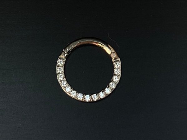 P0167 SEGMENTO AÇO FRONTAL 8MM  ZIRCONIA  CRISTAL1.2