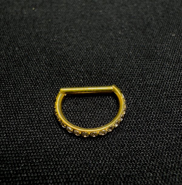 P0100 SEGMENTO D RING TITANIO PVD GOLD CRAVEJADO 1.2 8MM