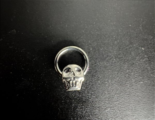 P0726 SEGMENTO TITANIO COM CAVEIRA 8 MM