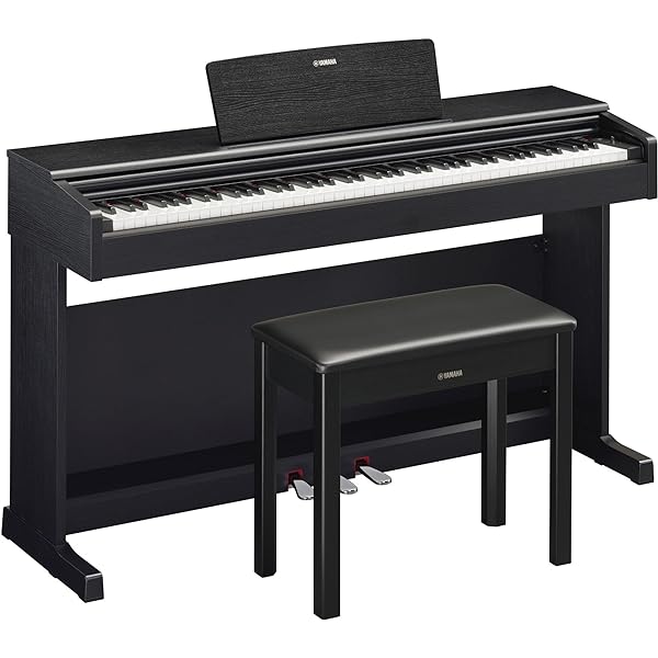 CASIO PIANO DIGITAL CELVIANO AP-270