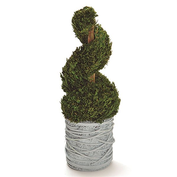 Topiaria em Espiral Verde (Bouquet)