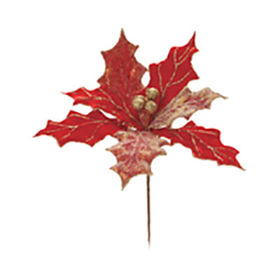 Poinsetia Vermelho Cabo Médio - 6 Un