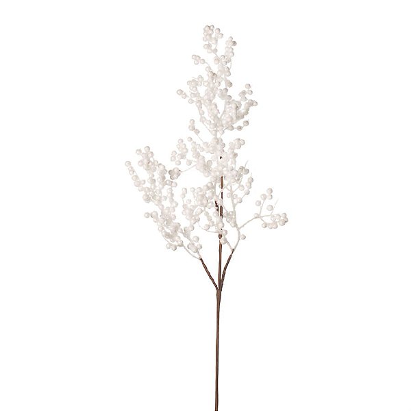 Galho Branco (Galhos Grandes) - 1 Un