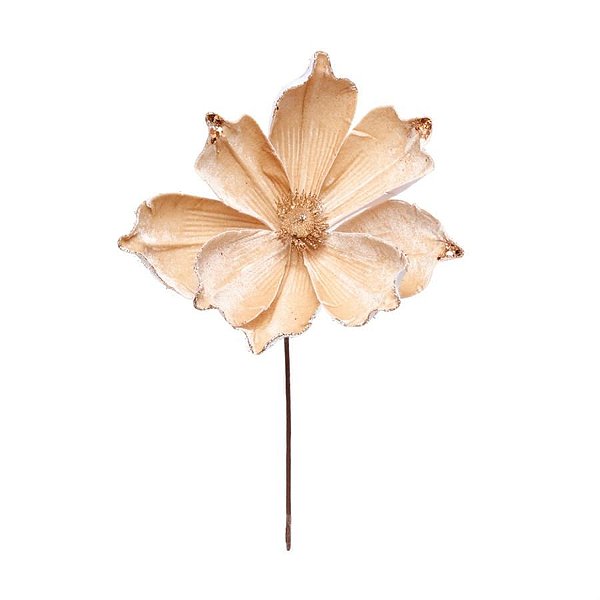 Magnolia Ouro (Flores Cabo Médio) - 1 Un