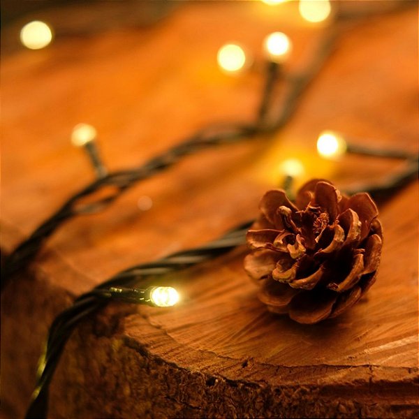 Pisca Pisca com 100 Leds Branco Quente 8 Funções Cordão Verde 220V