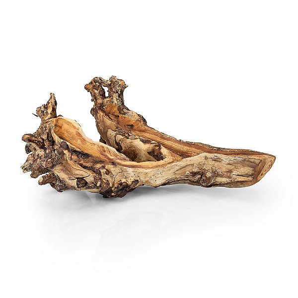 Galho Duas Pontas Madeira Nature 54,5x47x20