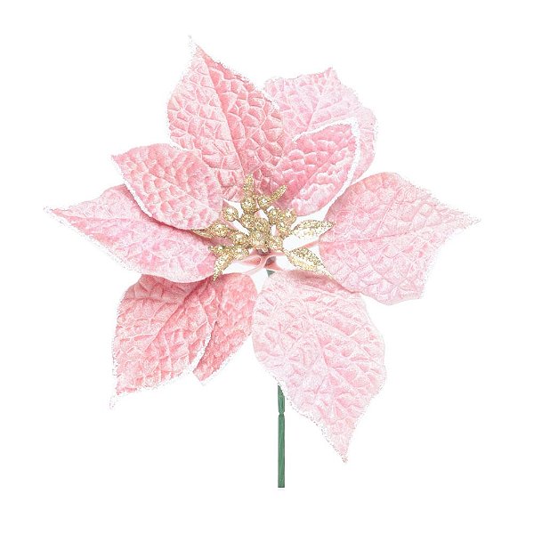 Poinsetia Rose Gold e Ouro