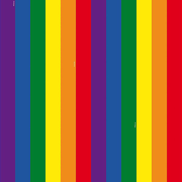 Saco Perolado 50X70 Lgbt - 25 Un