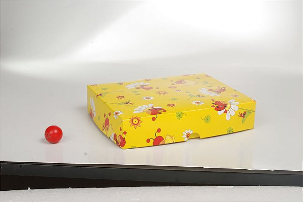 Caixa Retangular Tampa/Fundo Jardim Joaninha EG 34X25X6,7