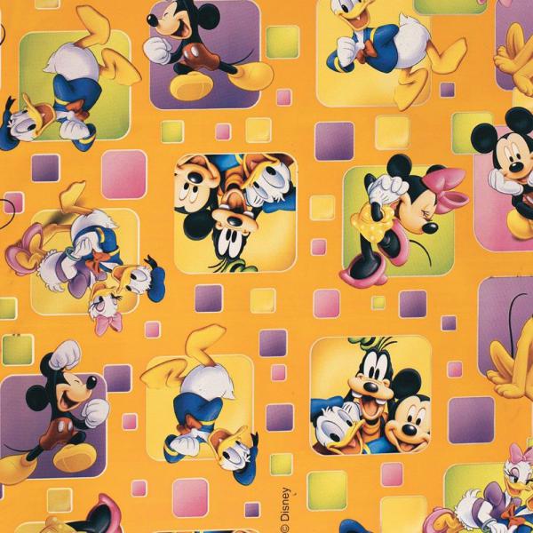 Saco 10X14 Familia Disney - 100 Un