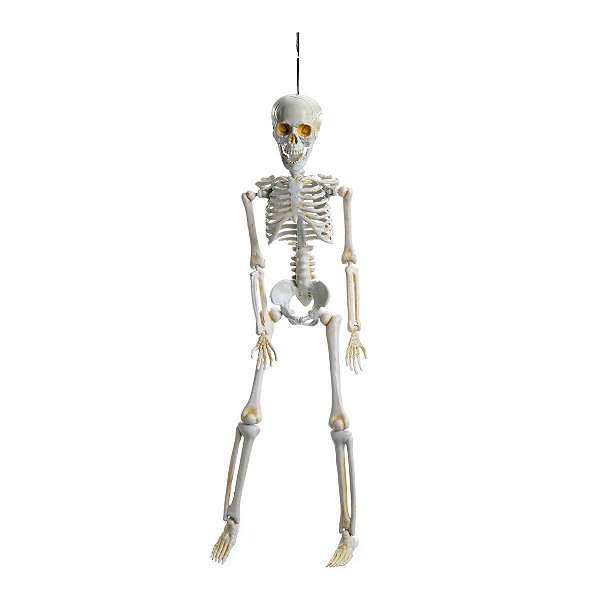 Caveira Amom 40cm para Decoração de Halloween - Cromus - 1 Un