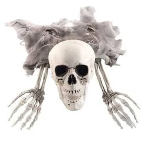 Conjunto de Ossos Esqueleto para Decoracao Halloween