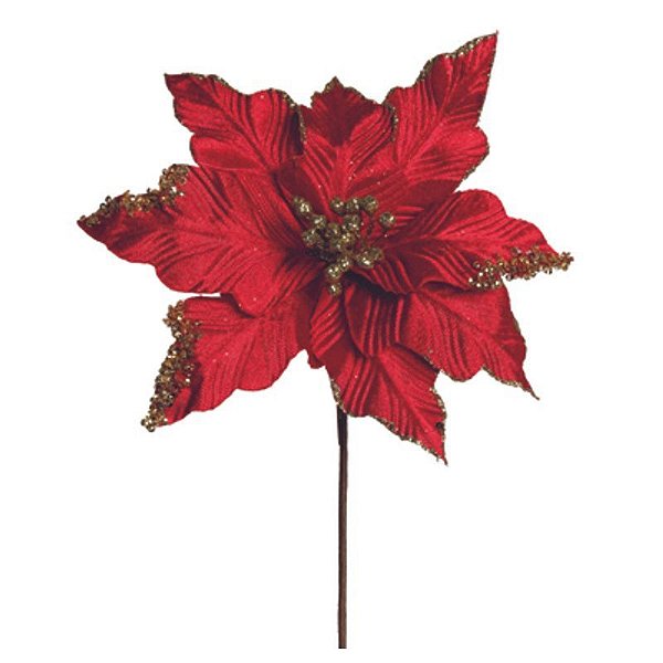 Poinsetia Vermelho Ouro (Flores Cabo Médio) - 1 Un