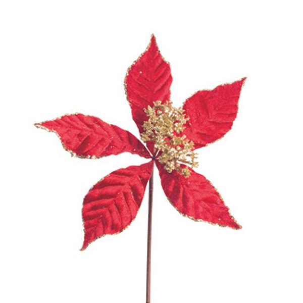 Poinsetia Vermelho Ouro - 1 Un