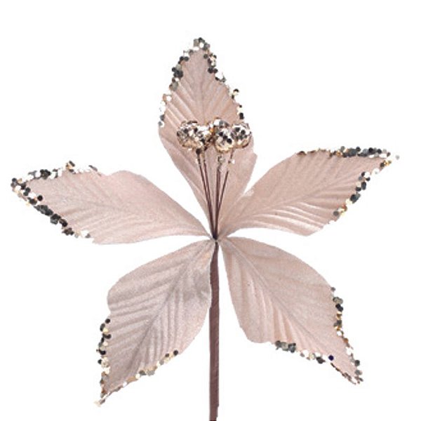 Poinsetia Cha 15cm - 1 Un