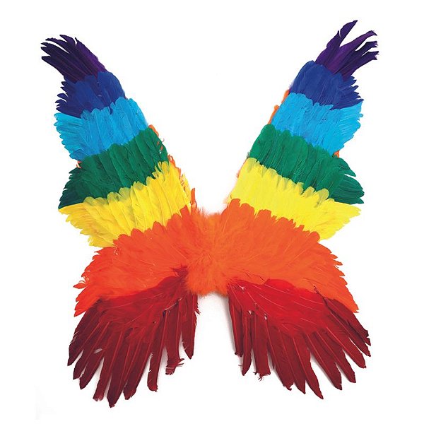 Asa de Fada Rainbow - 1 Un