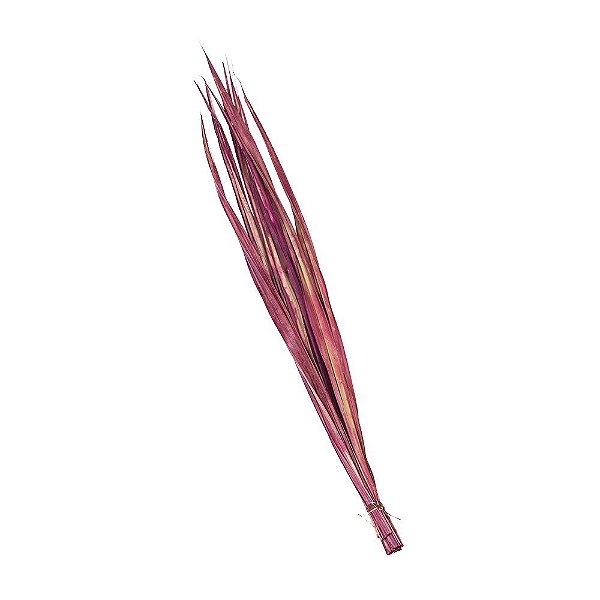 Folha de Palmeira 120cm Vinho - 10 Un