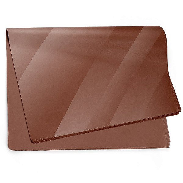 Folha Sujinho 49x69cm Liso Marrom - 50 Un