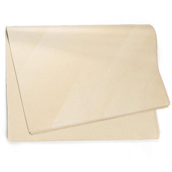 Folha Sujinho 49x69cm Liso Bege - 50 Un
