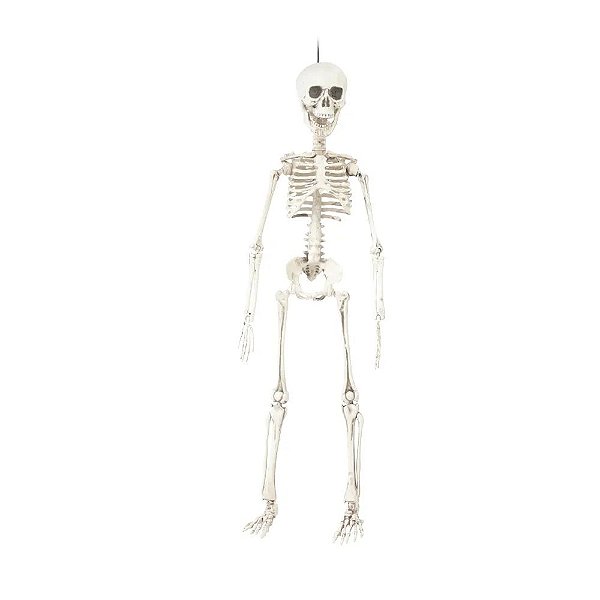 Esqueleto Ranieri Para Pendurar 40cm - 1 Un