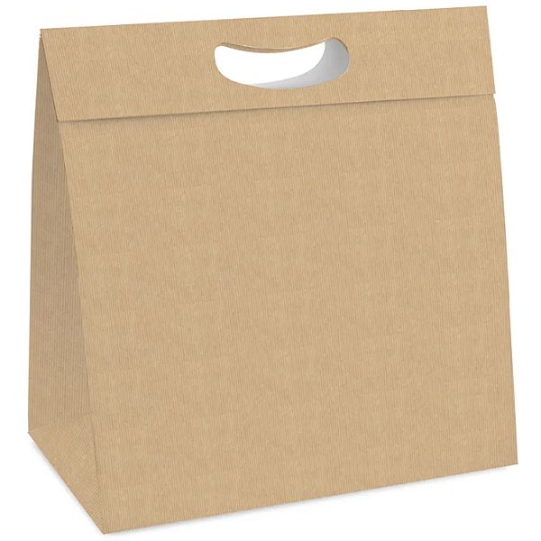 Caixa New Plus M 23x8,5x30cm Pardo - 10 Un