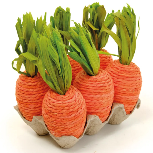 Cenoura Decorativa Caixa de Ovo 17x17x11,5cm Laranja e Verde - 1 Un