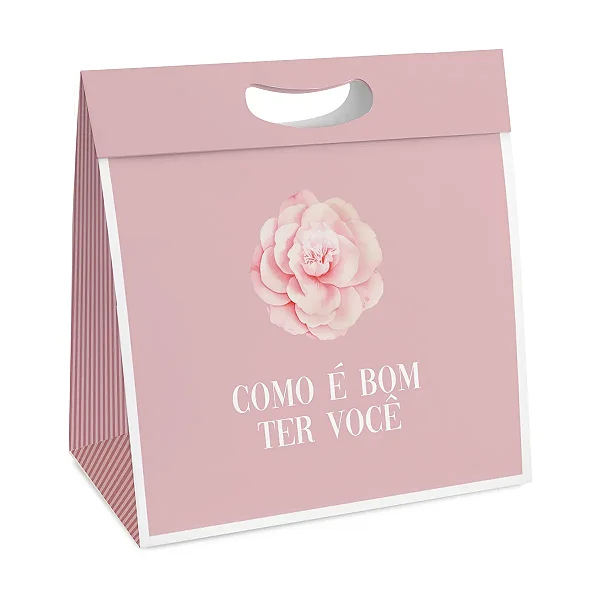Kit Caixa New Plus G 28,5x10x38,5cm Camélia - 10 Un