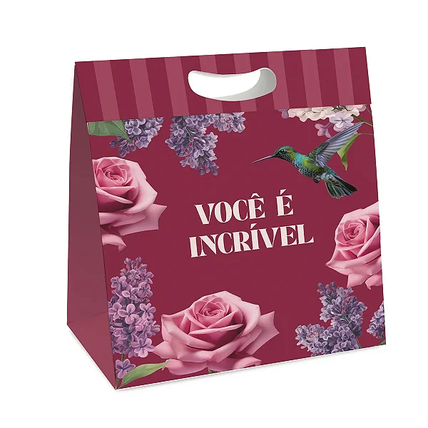 Kit Caixa New Plus P 18x7,5x24cm Brigitte - 10 Un