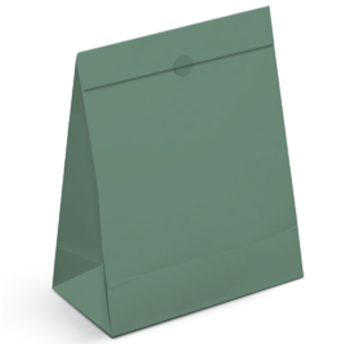 Kit Saco de Papel Para Presente G 35x26,5x11,5cm Nat Green - 10 Un