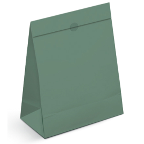 Kit Saco de Papel Para Presente GG 41x32,5x13cm Nat Green - 10 Un