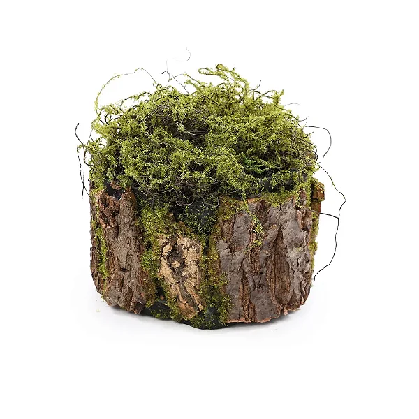 Tronco Decorativo Vertical Musgo/Madeira P 16x20x18cm Verde/Marrom - 1 Un