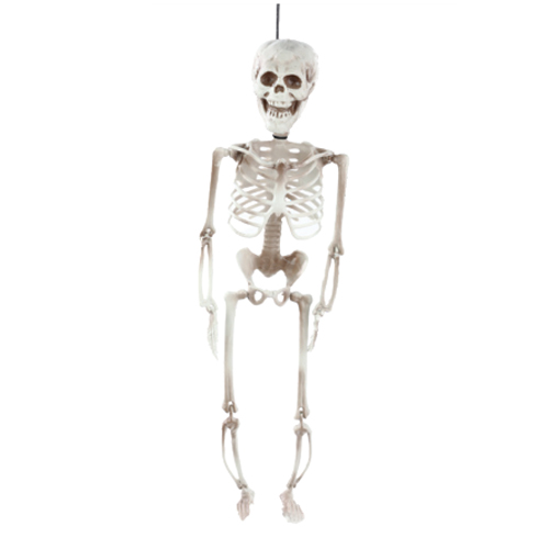 Esqueleto Articualdo Nick Para Pendurar 53cm - 1 Un