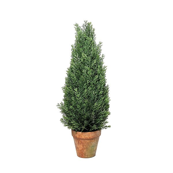 Árvore de Natal Pequena - Pinheiro Cone Verde 55cm