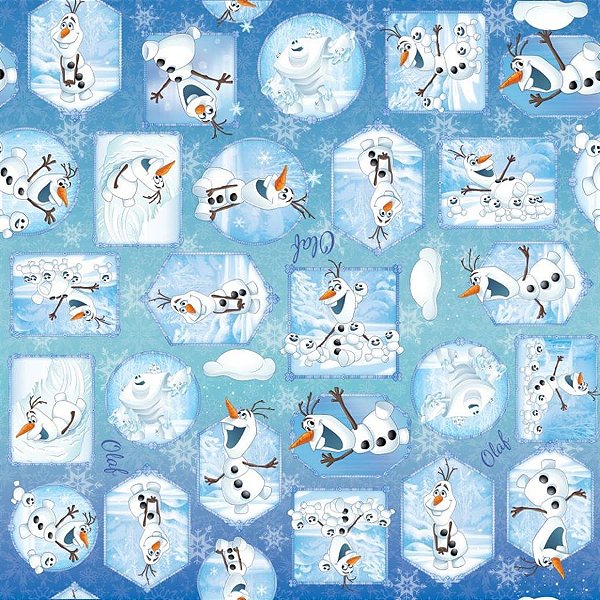 Folha Olaf 69X89 - 25 Un