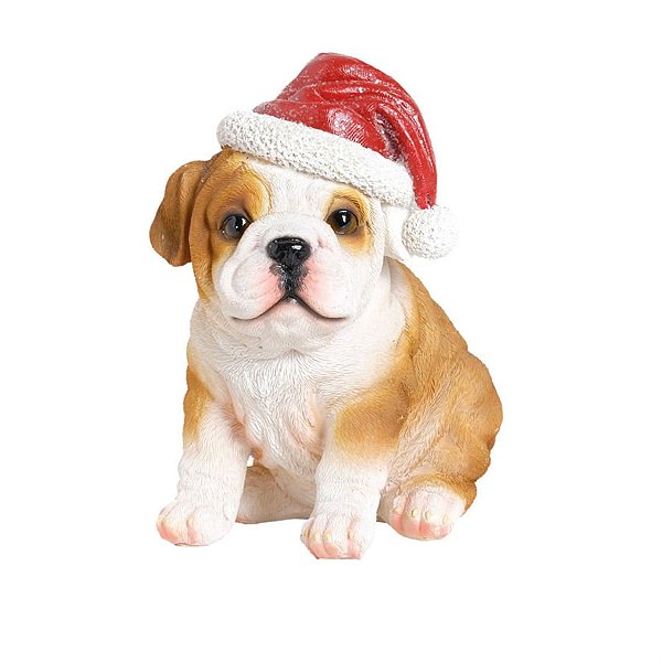 Cachorro Bulldog com Gorro Branco e Beg / Vermelho