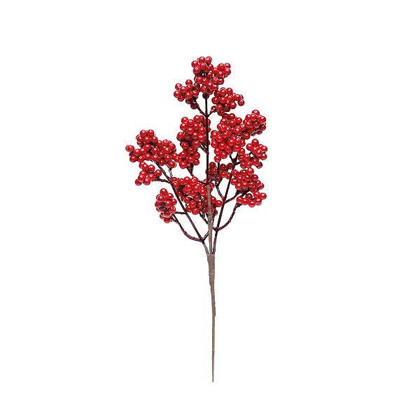 Galho Frutas Vermelhas - Galhos Medios