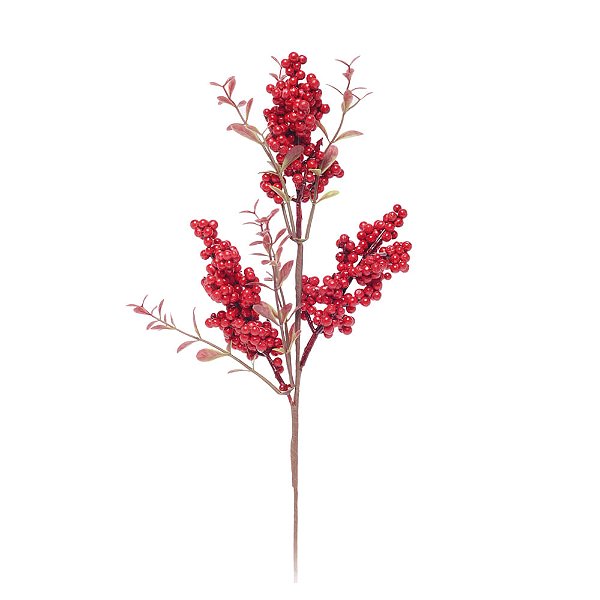 Galho Folhas e Frutas Vermelho e Verde