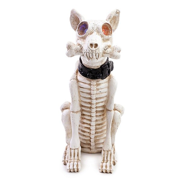 Cachorro Decorativo Esqueleto - Cromus - 1 Un