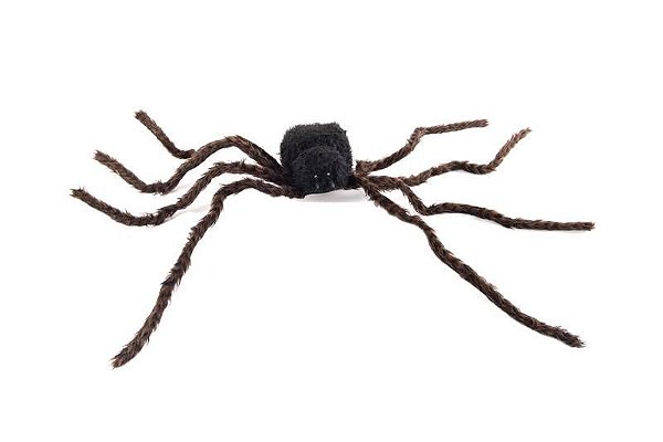 Aranha Halloween com Som, Luz e Movimento 1,00 Metro - 1 Un