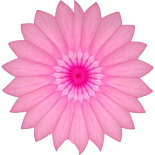 Enfeite de Papel Margarida Primavera Rosa Choque com Pink - 1 Un
